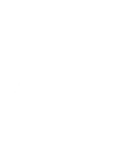 Patrimonio | SECAPPH